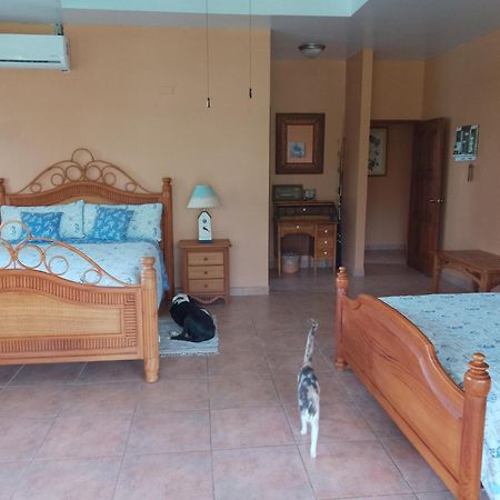 בוקה צ'יקה Gone Fishing Panama Resort מראה חיצוני תמונה