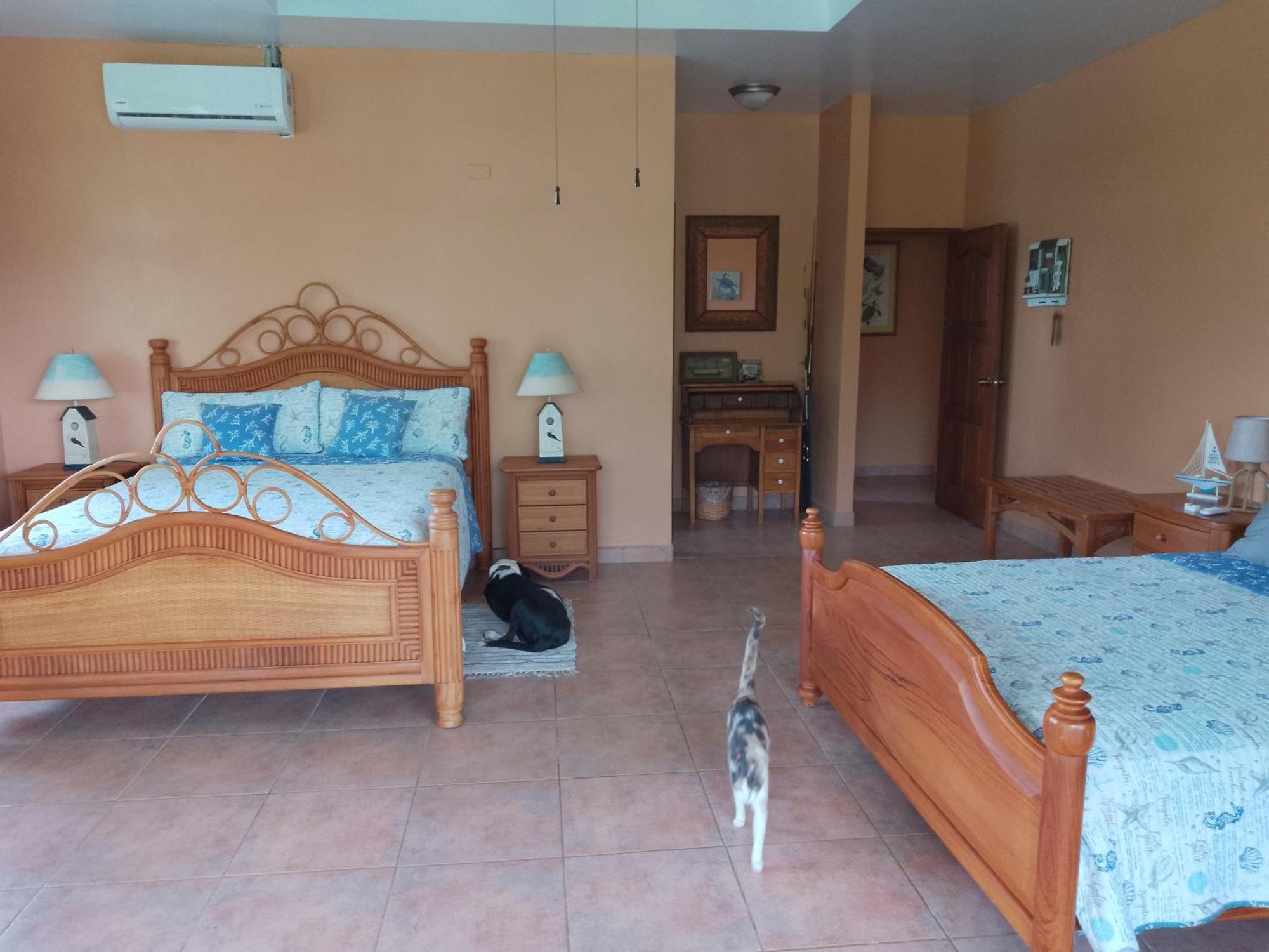 בוקה צ'יקה Gone Fishing Panama Resort מראה חיצוני תמונה